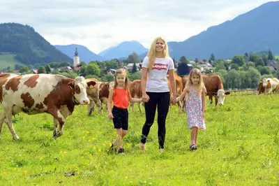 Tiere in der Ferienwohnung oder in der Nähe