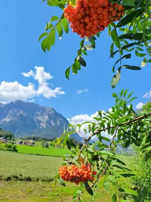 Naturlandschaft in der Nähe der Ferienwohnung