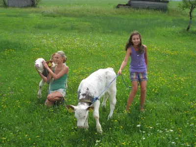 Tiere im Chalet oder in der Nähe