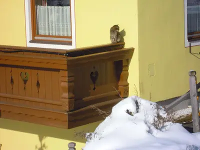 Binderhof im Winter