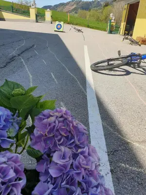 Radfahren an der Unterkunft Vive Diem oder in der Nähe