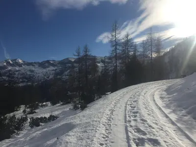 Hotel Binggl im Winter