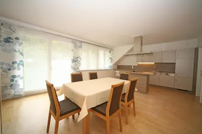 Küche/Küchenzeile in der Unterkunft Appartements Schwaiger by Schladming-Appartements