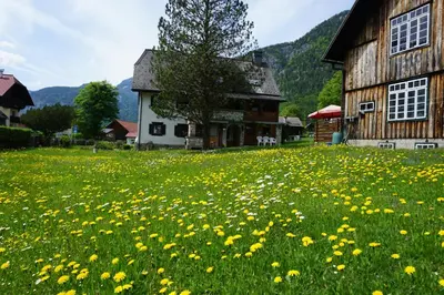 Naturlandschaft in der Nähe der Ferienwohnung
