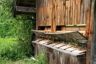 Ein Garten an der Unterkunft Untersulzberghof