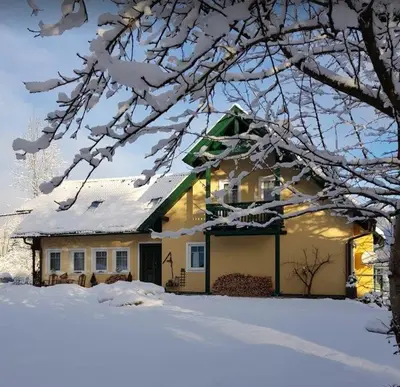 Landhaus HALLSTATT FEELING - Apartment - Self Check-in im Winter