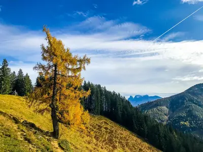 Naturlandschaft in der Nähe des Ferienhauses