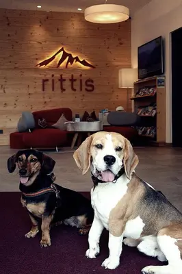 Haustiere von Gästen der Unterkunft Rittis Alpin Chalets Dachstein