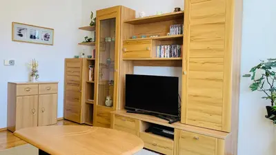 TV/Unterhaltungsangebot in der Unterkunft Bernhard Schmidt-Gasse