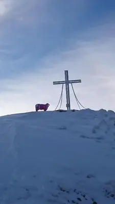 Ferienwohnung Schönauer im Winter