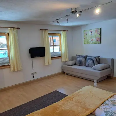 TV/Unterhaltungsangebot in der Unterkunft Reiters-Ferienhaus