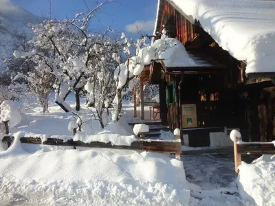 Chalet Ramsau 8 im Winter