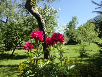 Ein Garten an der Unterkunft Chalet Ramsau 8