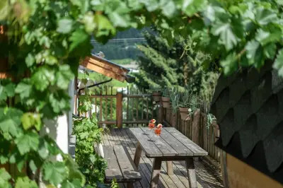 Ein Garten an der Unterkunft LISA-Chalets