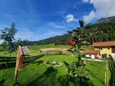 Naturlandschaft in der Nähe des Ferienhauses