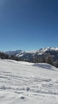 Saghäusl im Winter