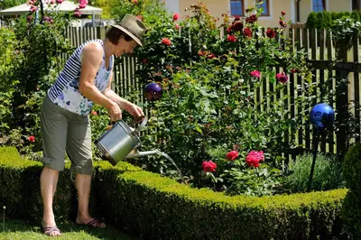 Ein Garten an der Unterkunft Frühstückspension Huber