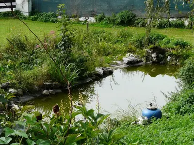 Naturlandschaft in der Nähe der Pension