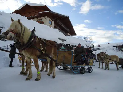 Grundriss der Unterkunft Hotel Sporthof