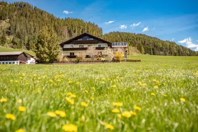 Naturlandschaft in der Nähe des Privatzimmers