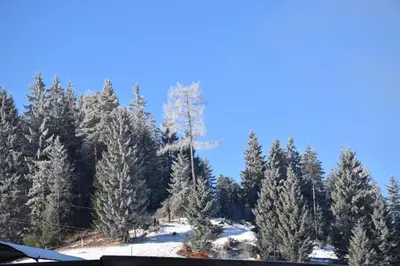 Gut Maierlehen im Winter