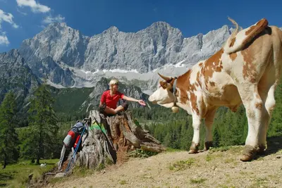 Gäste, die in der Unterkunft MEINE HEIMAT - Apartments in Ramsau am Dachstein - inklusive SOMMERCARD übernachten