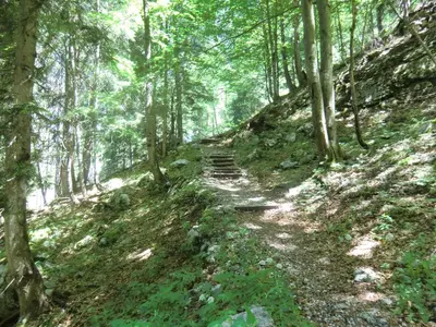 Naturlandschaft in der Nähe des Bed & Breakfasts