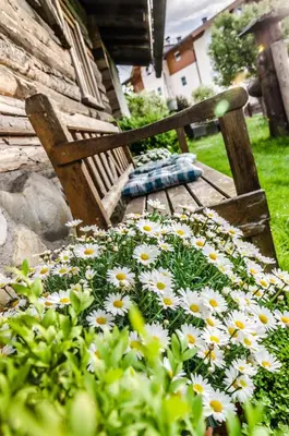 Ein Garten an der Unterkunft Wawies Apartments