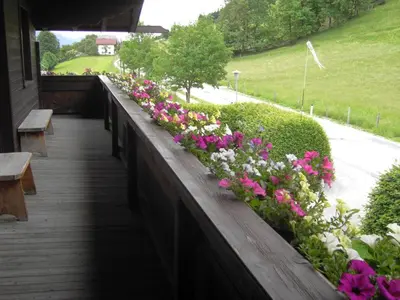 Ein Garten an der Unterkunft Haus Kieler
