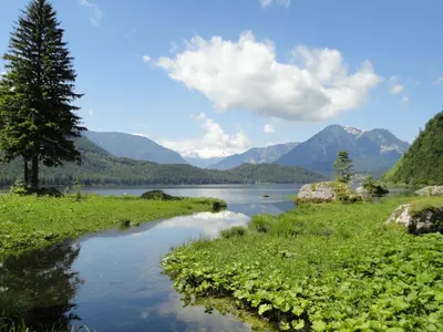 Naturlandschaft in der Nähe der Ferienwohnung