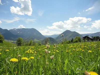 Naturlandschaft in der Nähe der Ferienwohnung