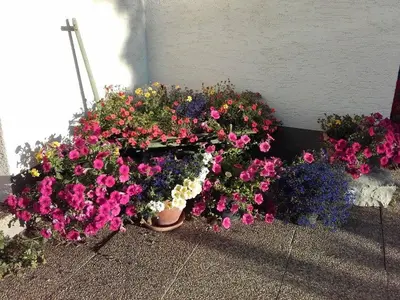 Ein Garten an der Unterkunft Ferienhaus Strasser