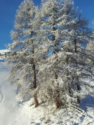 Ferienwohnung Familie Wieser im Winter
