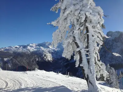 Ferienhaus Marianne im Winter