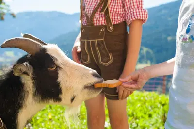 Tiere im Ferienhaus oder in der Nähe