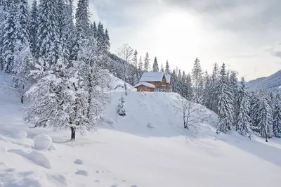 Chalets Almidylle im Winter