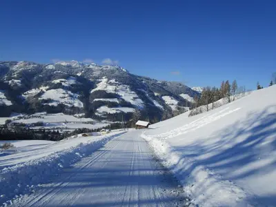 Ferienwohnung Oberbachhof im Winter