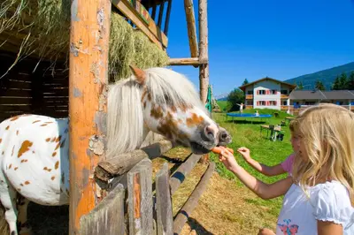 Tiere in der Ferienwohnung oder in der Nähe