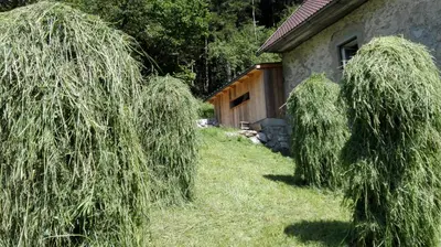 Ein Garten an der Unterkunft Ferienhaus Hirschnest