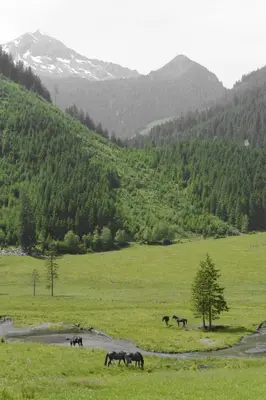 Naturlandschaft in der Nähe der Ferienwohnung