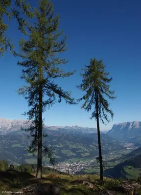 Naturlandschaft in der Nähe der Ferienwohnung