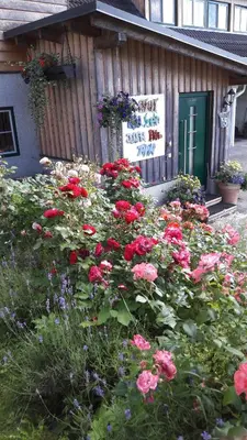 Ein Garten an der Unterkunft Steinerhof