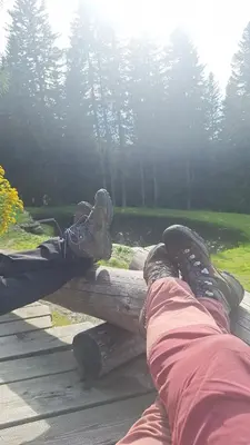 Ein Garten an der Unterkunft Steinerhof