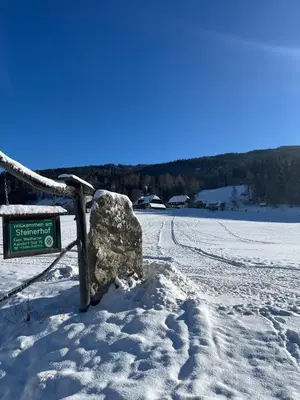 Naturlandschaft in der Nähe des Bauernhofs