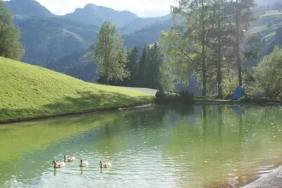 Naturlandschaft in der Nähe der Pension