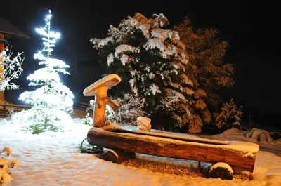 Romantikappartement Petz**** im Winter