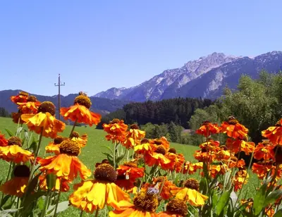 Naturlandschaft in der Nähe des Ferienhauses