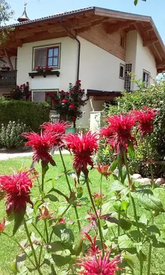 Ein Garten an der Unterkunft Ferienhaus Hirterhütte
