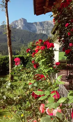 Ein allgemeiner Bergblick oder ein Berglick von des Ferienhauses aus