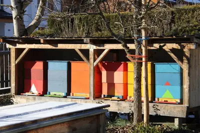 Grundriss der Unterkunft Ferienwohnung Bliem
